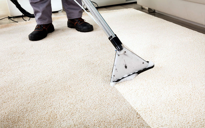 Chem Dry Pro - Rug Cleaners,Commercial Upholstery Carpet Cleanin | laundry | 4 Palmerston Rd, Lysterfield VIC 3156, Australia | 0402245399 OR +61 402 245 399
