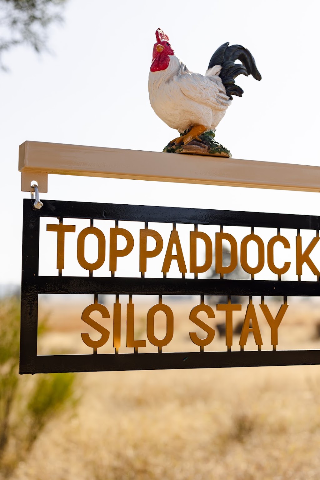 Top Paddock Silo Stay | 138 Cooyong Ln, Forbes NSW 2871, Australia | Phone: 0428 922 499