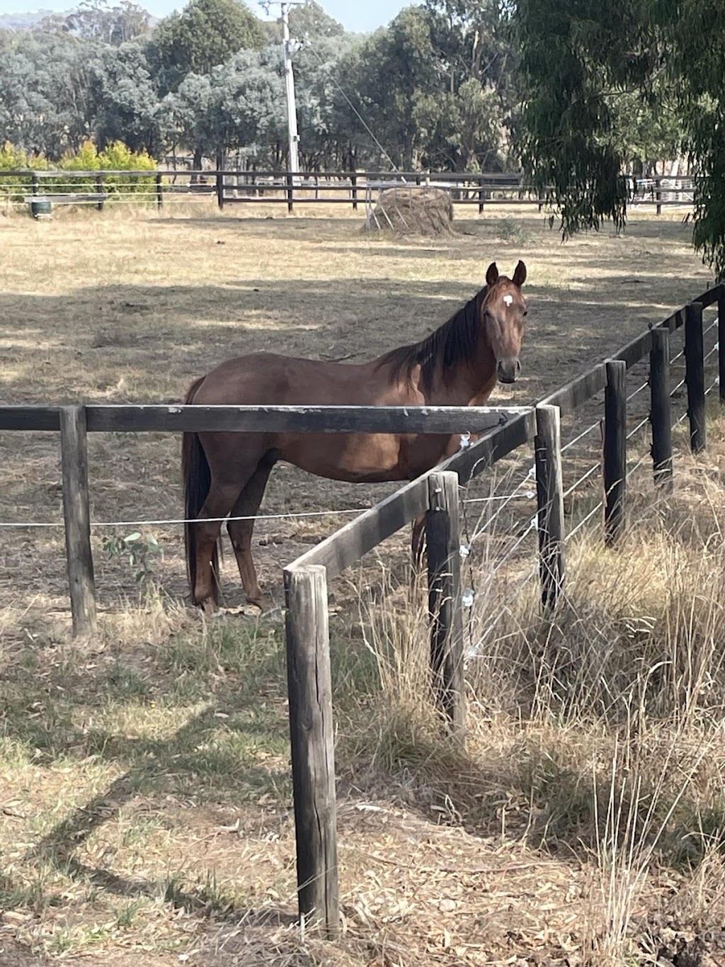 Jason McInnes Atomic Horsemanship | 35 Commercial Rd, Benalla VIC 3672, Australia | Phone: 0400 505 561 Jason McInnes Atomic Horsemanship | 35 Commercial Rd, Benalla VIC 3672, Australia | Phone: 0400 505 561