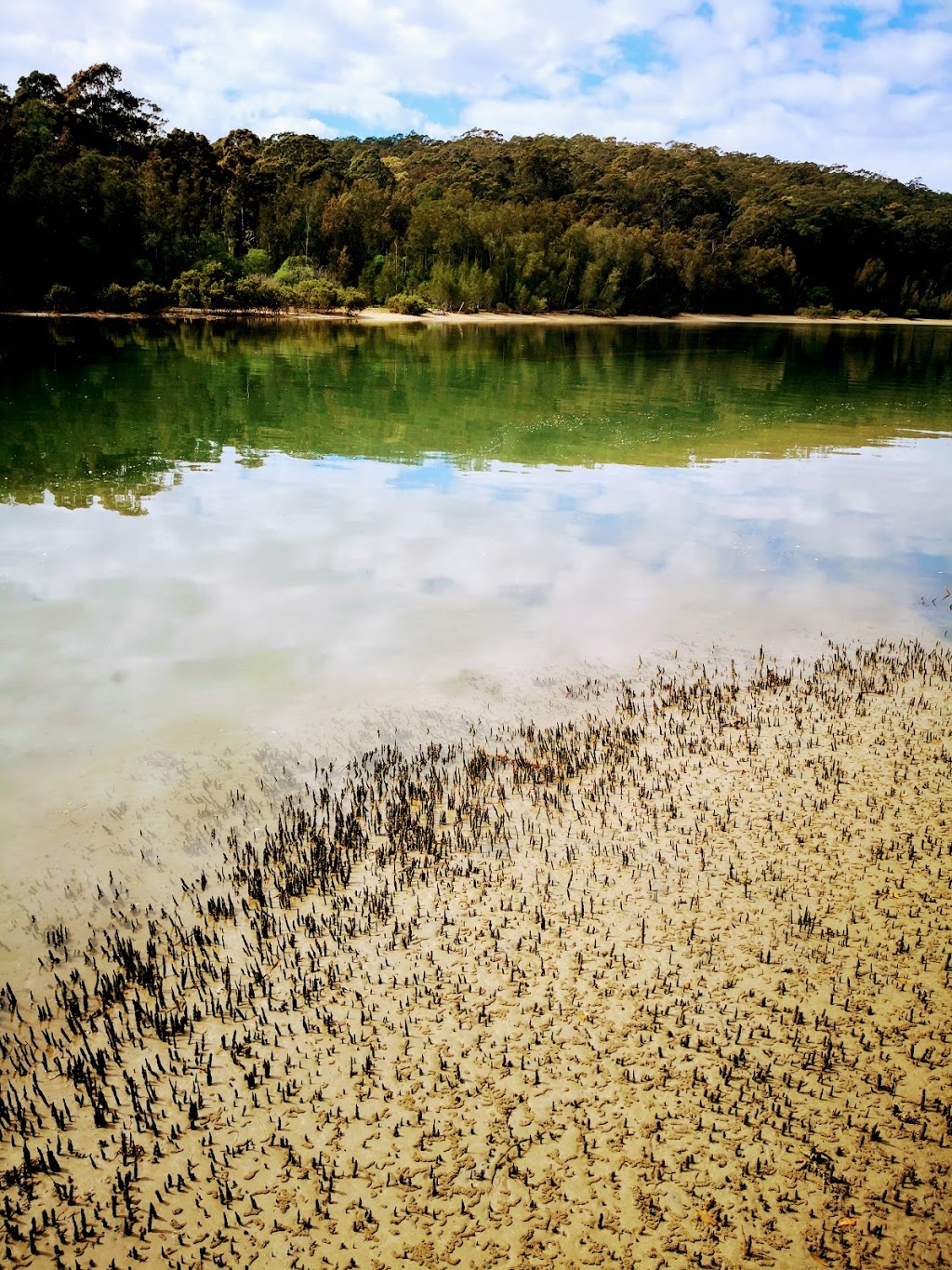 Cullendulla Creek | park | Blairs Rd, North Batemans Bay NSW 2536, Australia