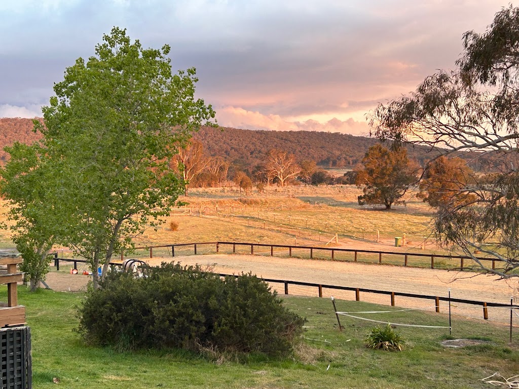 Pearson Equine | 514 Middle Arm Rd, Goulburn NSW 2580, Australia | Phone: 0403 733 125