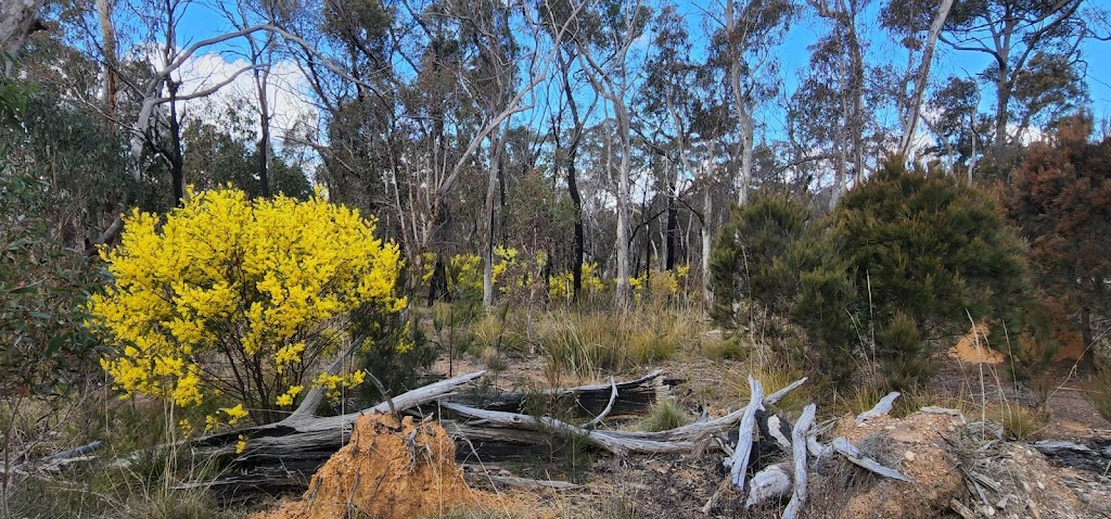 Willowleaf Properties P/L | 21 Paddys Cl, Lower Boro NSW 2580, Australia | Phone: 0437 977 861