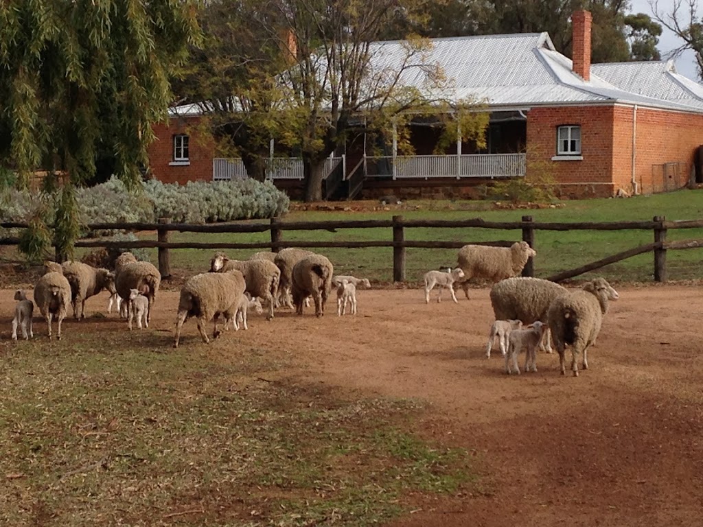 Avondale Homestead | Beverley WA 6304, Australia | Phone: (08) 9646 1107