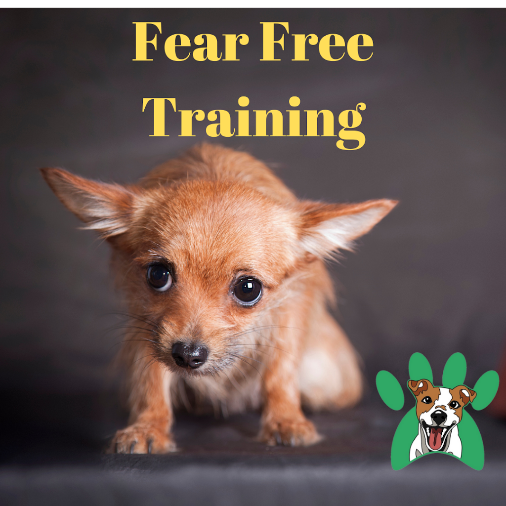 Dogtraining101 | 11 Pressland St, Carseldine QLD 4034, Australia | Phone: 0424 364 101