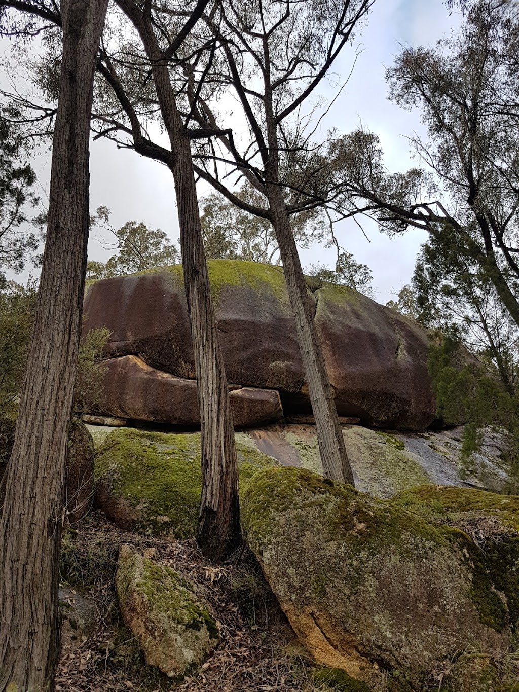 Beechworth Historic Park | park | Beechworth VIC 3747, Australia | 131963 OR +61 131963