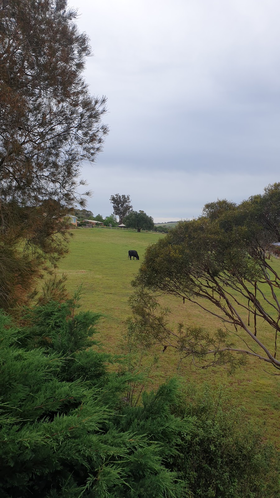 Waybourne Vineyard & Winery | 60 Lemins Rd, Waurn Ponds VIC 3216, Australia | Phone: (03) 5241 8477