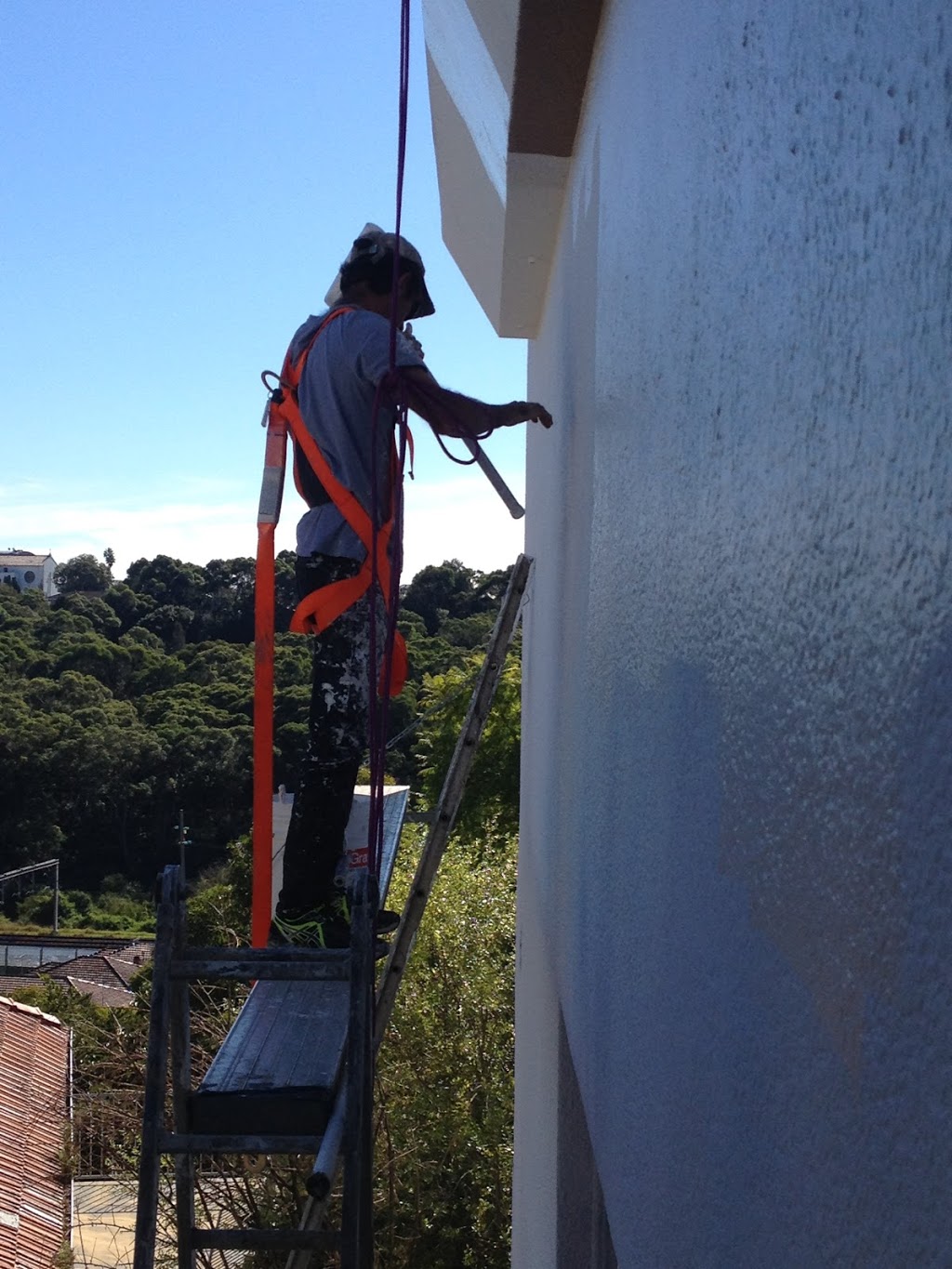 Man and Ladder Painting Service | painter | 24 Sylvia St, Rydalmere NSW 2116, Australia | 0401562247 OR +61 401 562 247