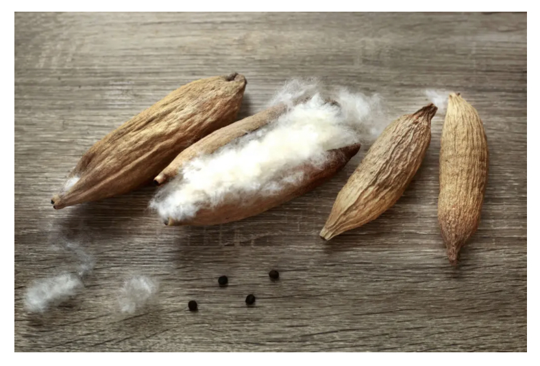 Pillow Rebels - Kapok pillow shop | 1 Yellow Box Ave, Springfield NSW 2250, Australia | Phone: 0411 038 338