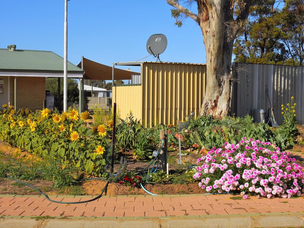 Dalwallinu Caravan Park | lodging | 10 Dowie St, Dalwallinu WA 6609, Australia | 0896611253 OR +61 8 9661 1253