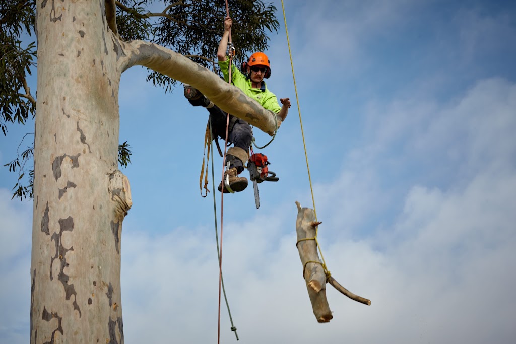 Fifteenfeet Tree Maintenance |  | 47 Fischer St, Coburg VIC 3058, Australia | 0435086323 OR +61 435 086 323