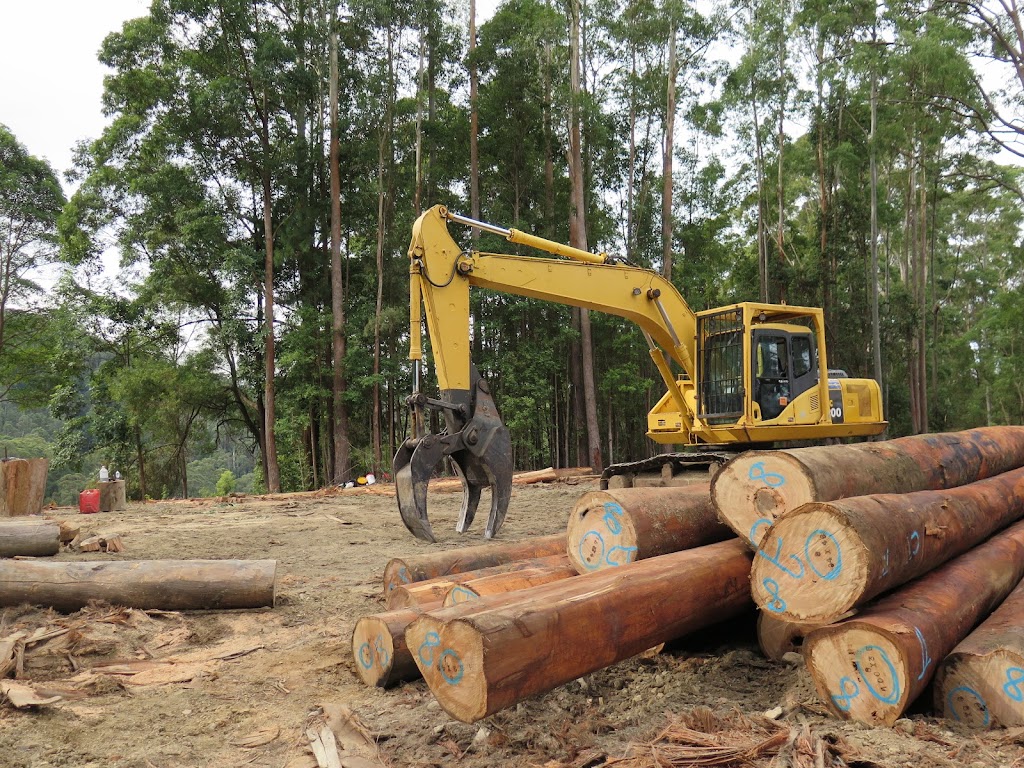 Glenn Poole Logging | Pacific Hwy, Coffs Harbour NSW 2450, Australia | Phone: 0437 879 848