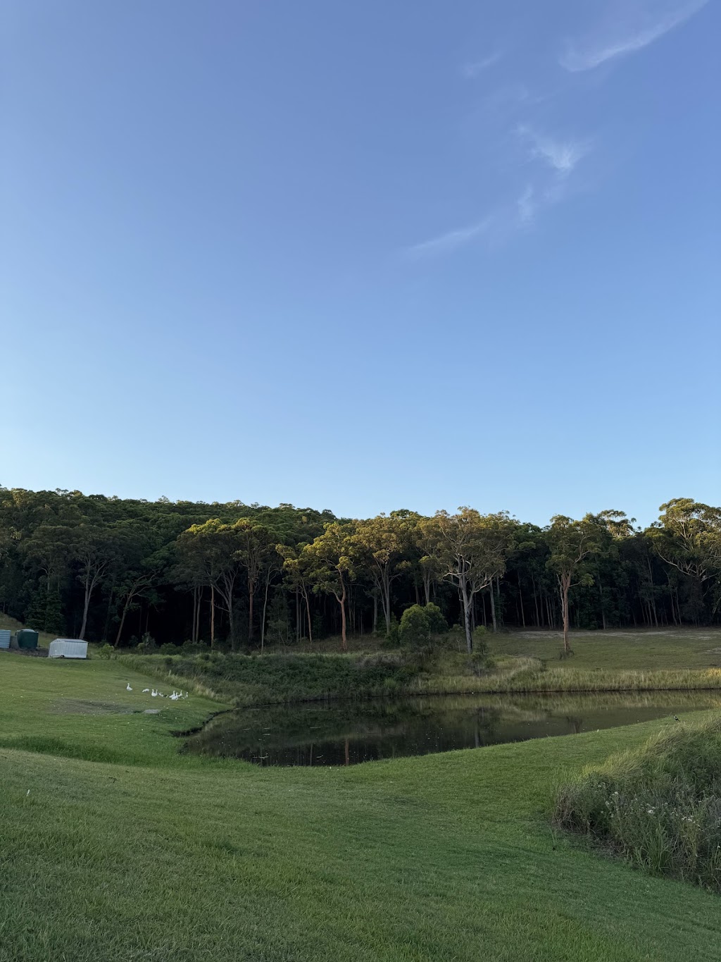 Mt Nellinda Campsites | 96 Mount Nellinda Rd, Cooranbong NSW 2265, Australia | Phone: 0413 304 610