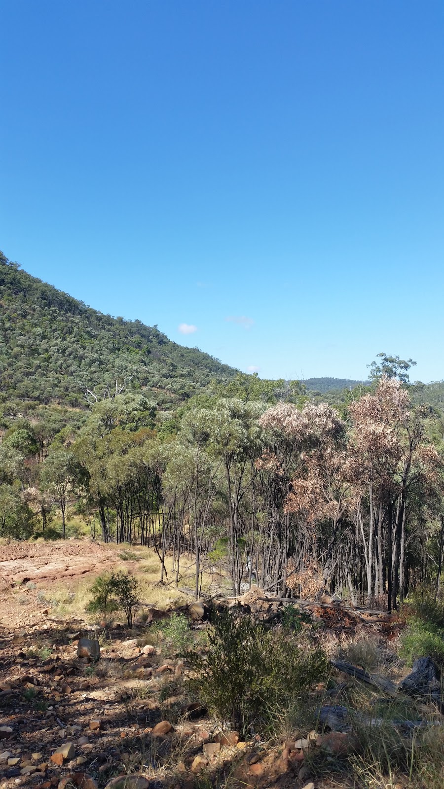 Humboldt National Park | Humboldt QLD 4702, Australia