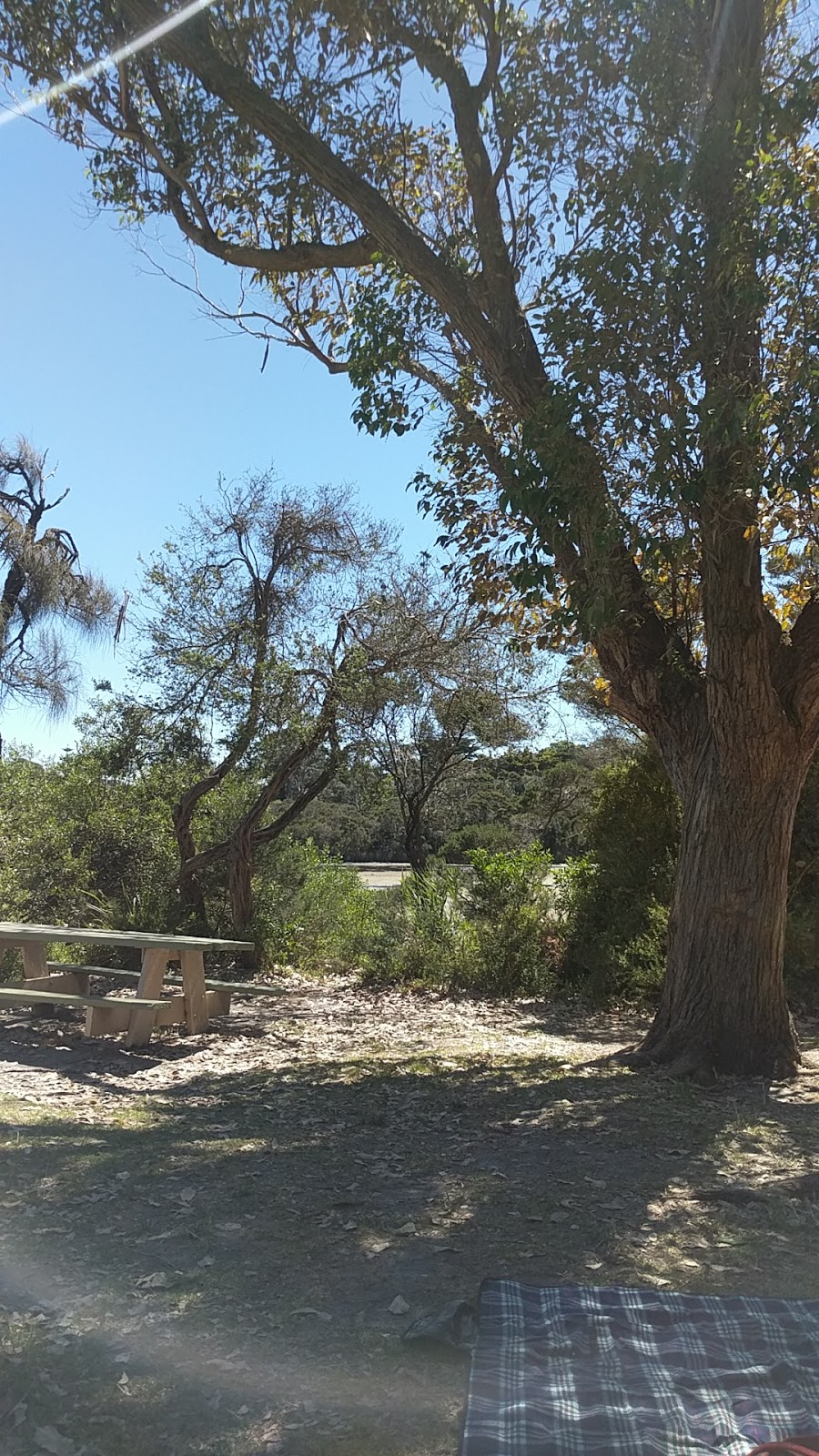 Balcombe Estuary Reserve | Mirang Ave, Mount Martha VIC 3934, Australia | Phone: 0447 160 288