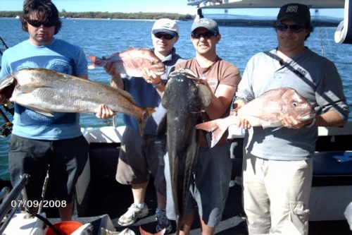 Discovery Fishing Charters | 1 Muriel Henchman Dr, Main Beach QLD 4217, Australia | Phone: 0427 026 519