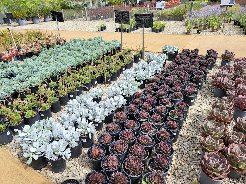 Benara Nurseries | 462 Nicholson Rd, Forrestdale WA 6112, Australia | Phone: (08) 9561 9000