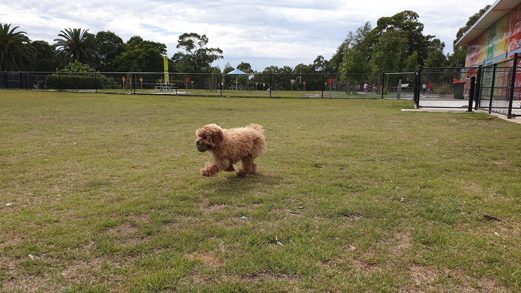 Ryde Dog Park | park | Argyle Ave, Ryde NSW 2112, Australia