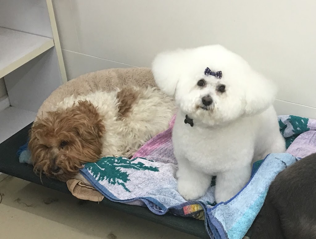 Roll Over Rover Grooming Salon | store | 52 Kidman Ave, Belmont VIC 3216, Australia | 0352445501 OR +61 3 5244 5501