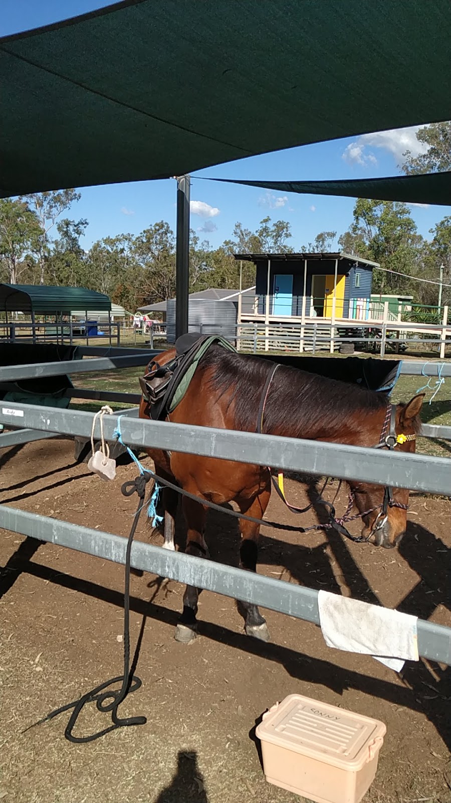Crowson Park Riding For The Disabled |  | 129 Crowson Ln, Greenbank QLD 4124, Australia | 0732001055 OR +61 7 3200 1055