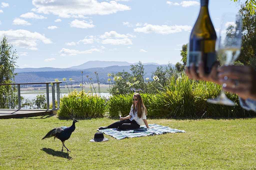 Tamar Ridge Cellar Door | 1A Waldhorn Dr, Rosevears TAS 7277, Australia | Phone: (03) 6330 1800