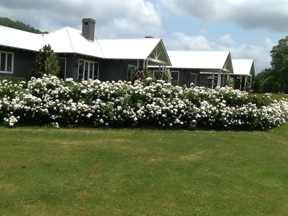 Lastover | 892 Wattamolla Rd, Wattamolla NSW 2535, Australia | Phone: (02) 4465 2928