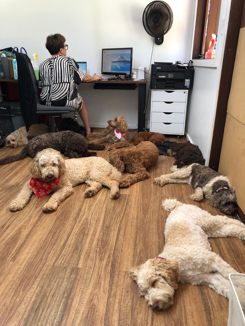 Woofs HQ | 16 E Kurrajong Rd, East Kurrajong NSW 2758, Australia | Phone: 0420 960 690