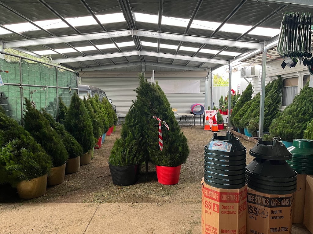 Fairfield Farm Fresh Christmas Trees | 156 Wingrove St, Fairfield VIC 3078, Australia | Phone: 0427 040 868