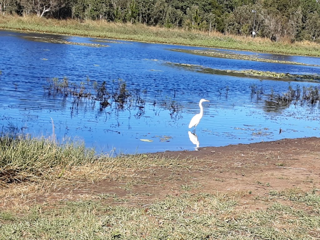 Bushy Browns water ski adventure park | 2 Martin Rd, Woodford QLD 4514, Australia | Phone: 0419 575 032