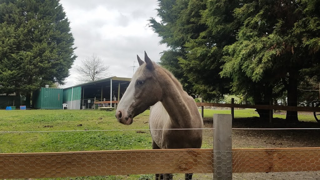 Mount Evelyn Pony Club | 176 Bailey Rd, Mount Evelyn VIC 3796, Australia | Phone: 0419 335 365