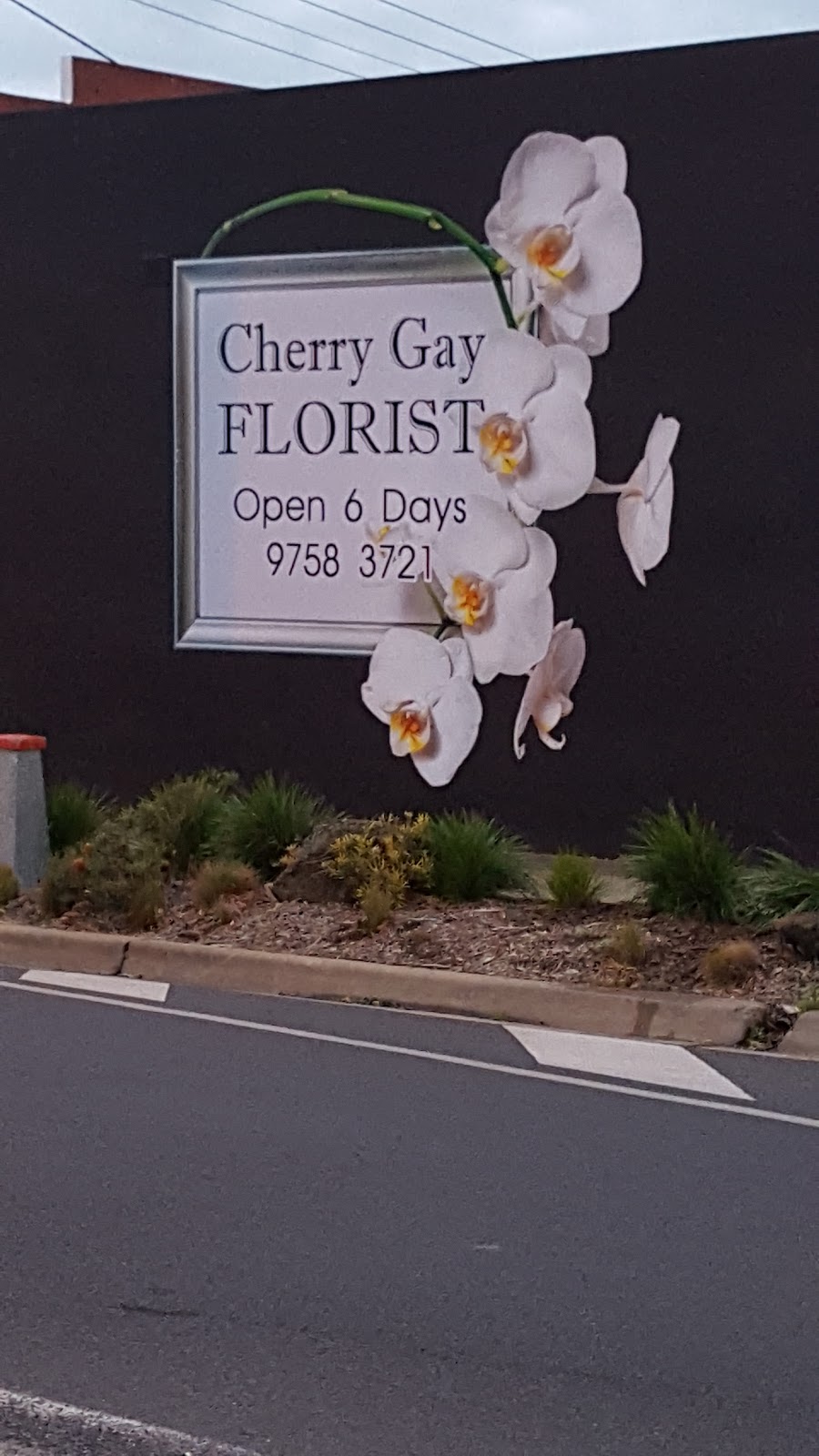 Cherry Gay Florist | florist | 35-37 Forest Rd, Ferntree Gully VIC 3156, Australia | 0397583721 OR +61 3 9758 3721