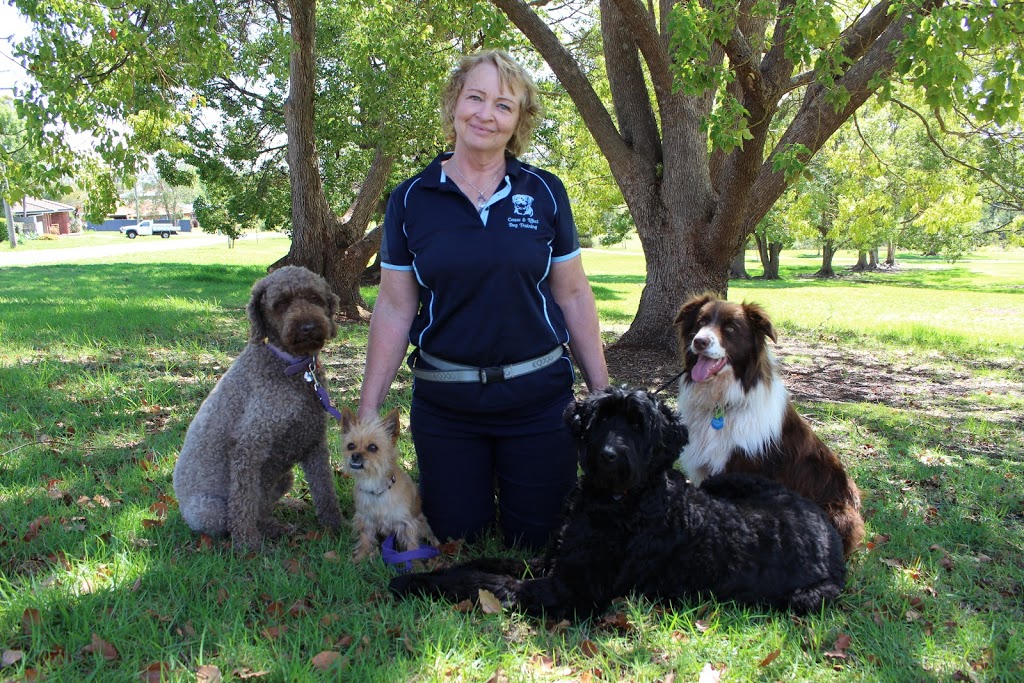 Cause and Effect Dog Training and Muscle work | Connoles Rd, Postmans Ridge QLD 4352, Australia | Phone: 0428 723 076