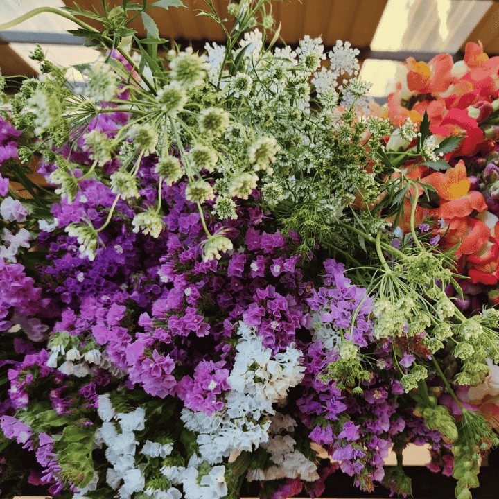 Conerin Farm Flowers Kyneton | 293 Sebastopol Rd, Kyneton VIC 3444, Australia | Phone: 0415 353 403