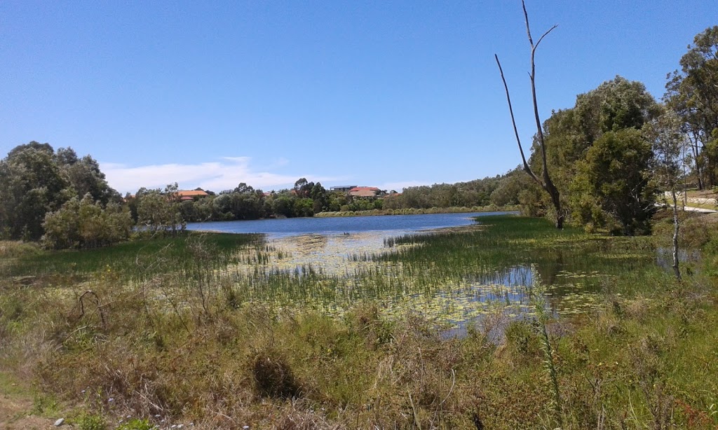 Halpine Lake Reserve | park | 61-107 Freshwater Creek Rd, Mango Hill QLD 4509, Australia