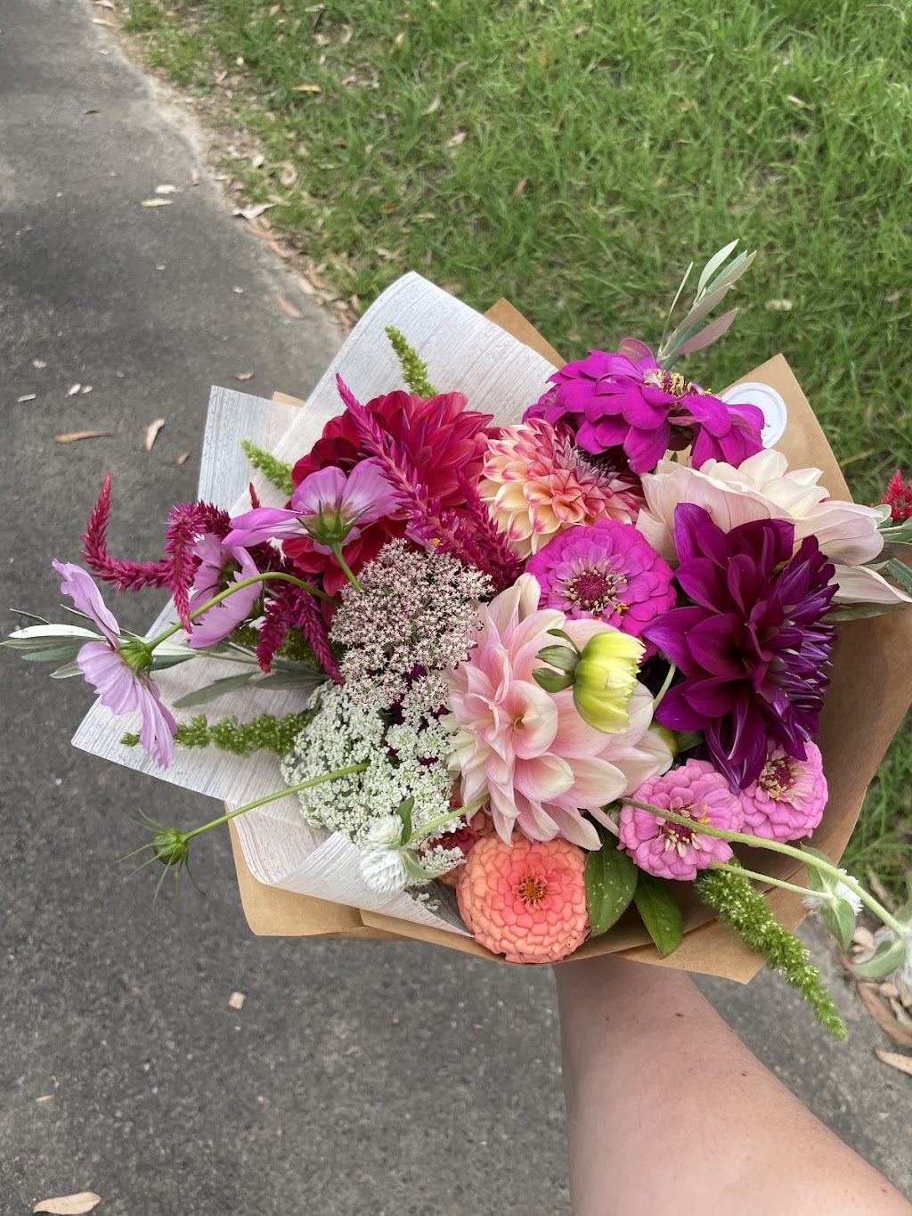 Weeping Willow Farm | Palmdale Rd, Palmdale NSW 2258, Australia | Phone: 0494 382 283