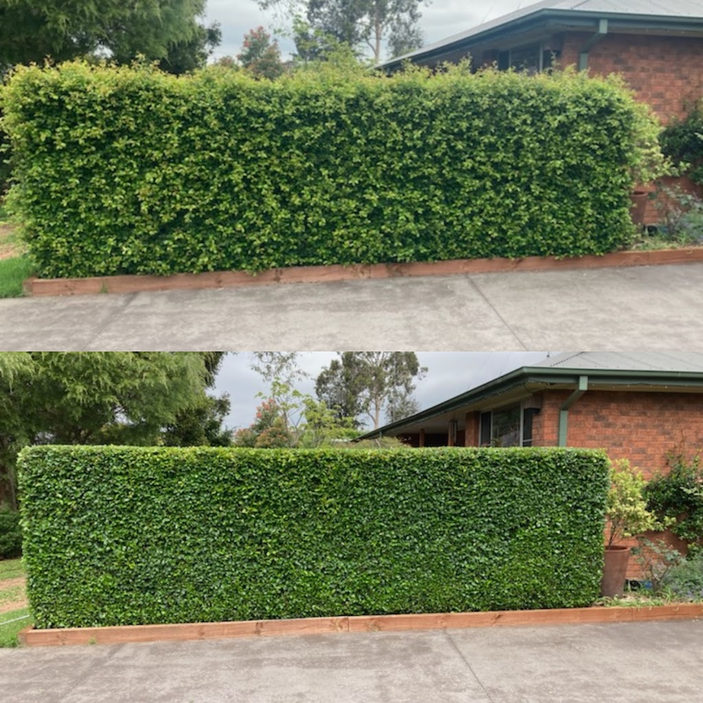 Eddys Lawns and Garden Care | 28 Emma Parade, Winmalee NSW 2777, Australia | Phone: 0499 362 156