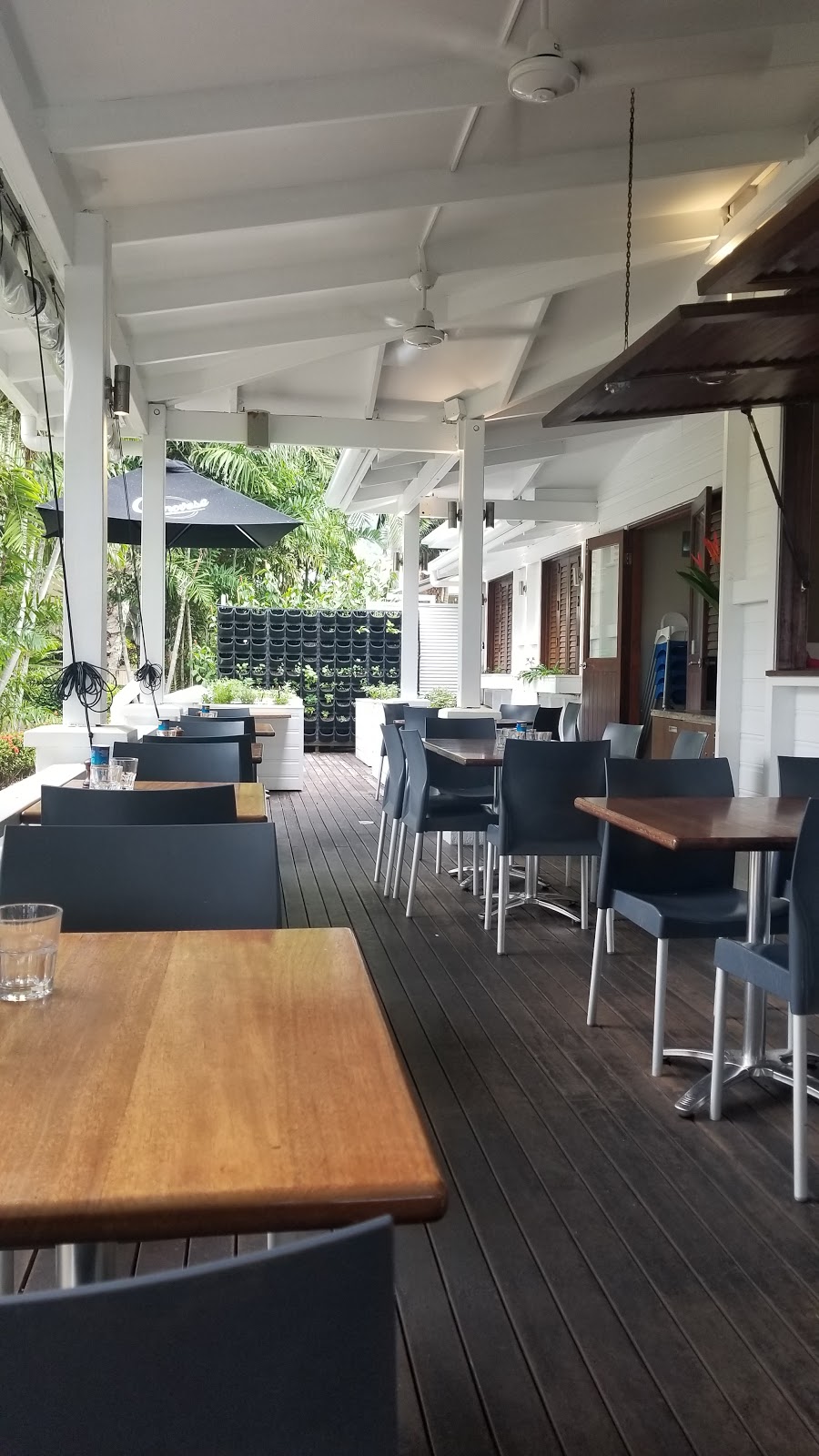 Vivo Palm Cove | restaurant | 49 Williams Esplanade, Palm Cove QLD 4879, Australia | 0740590944 OR +61 7 4059 0944