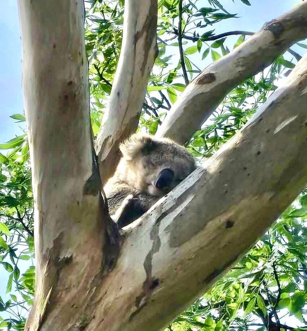 Yarra Valley Caravan Park | 160 Tarrango Rd, Yarra Junction VIC 3797, Australia | Phone: 0477 677 310