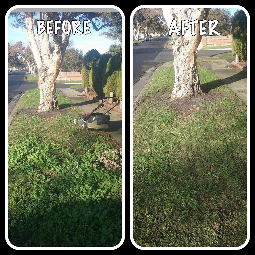 THE GREEN GRIFFIN - Lawn and Garden Maintenance | 32 Orama Ave, Carrum Downs VIC 3201, Australia | Phone: 0423 464 071