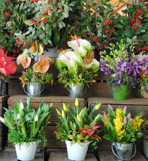 Lakeside Flowers | florist | 439 Monbulk Rd, Monbulk VIC 3793, Australia | 0397520233 OR +61 3 9752 0233