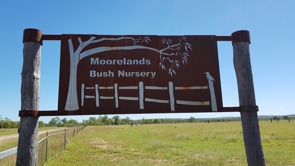 MOORELANDS Bush Nursery | cafe | Dargal Rd, Bungeworgorai QLD 4455, Australia | 0428222069 OR +61 428 222 069