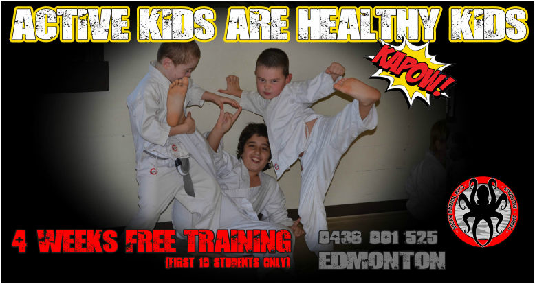 Jigsaw Martial Arts | health | 79 Bruce Hwy, Edmonton QLD 4869, Australia | 0438001525 OR +61 438 001 525