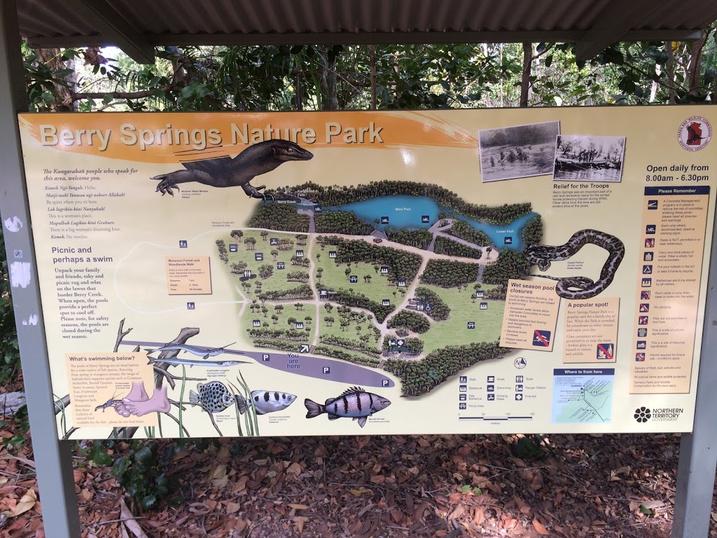 Berry Springs Waterhole | park | Berry Springs Nature Reserve, Berry Springs NT 0837, Australia | 0889886310 OR +61 8 8988 6310