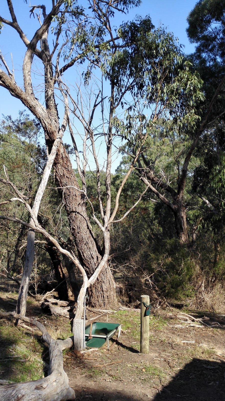 Currawong Bush Park | Reynolds Rd, Doncaster East VIC 3109, Australia