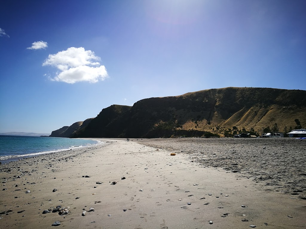 Adventure Kayaking SA| Rapid Bay | Rapid Bay Rd, Rapid Bay SA 5204, Australia | Phone: 0429 019 141