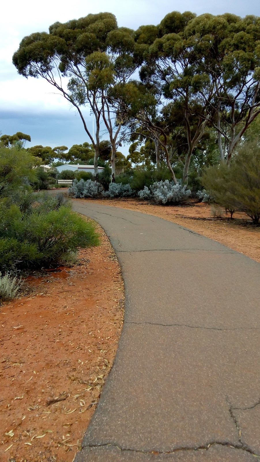 Arboretum - Dog Exercise Area | 15 Littlewood Pl, West Lamington WA 6430, Australia