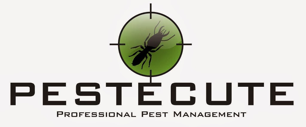 Pestecute | home goods store | 13 Omrah Ave, Caloundra QLD 4551, Australia | 0437238277 OR +61 437 238 277