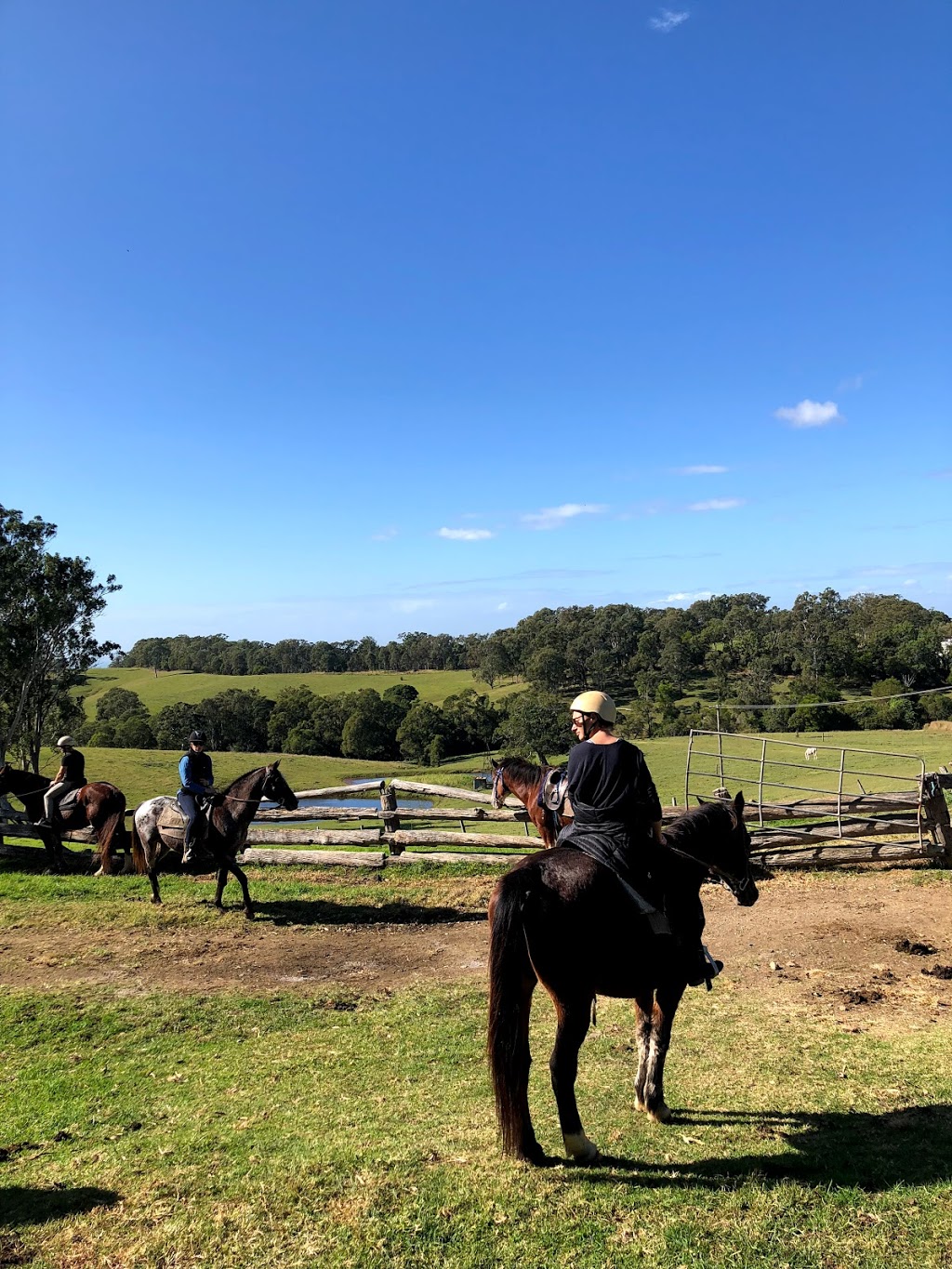 Slickers Horse Riding | 190 Ocean View Rd, Ocean View QLD 4521, Australia | Phone: (0414) 877562