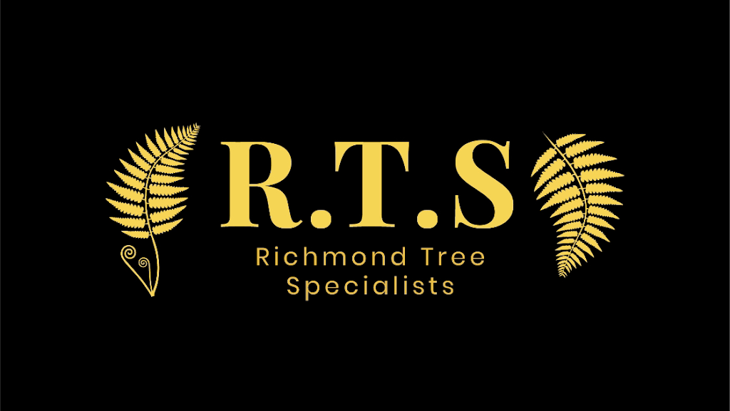 Richmond Tree Specialists | 59/61 Ormond Esplanade, Elwood VIC 3184, Australia | Phone: 0407 071 438