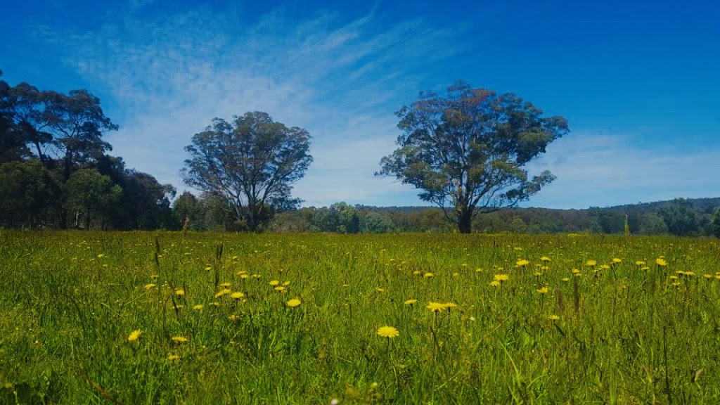 Tu viện Nhập Lưu - Nhap Luu Monastery | 221 Marias Ln, Beaufort VIC 3373, Australia | Phone: 0402 924 800