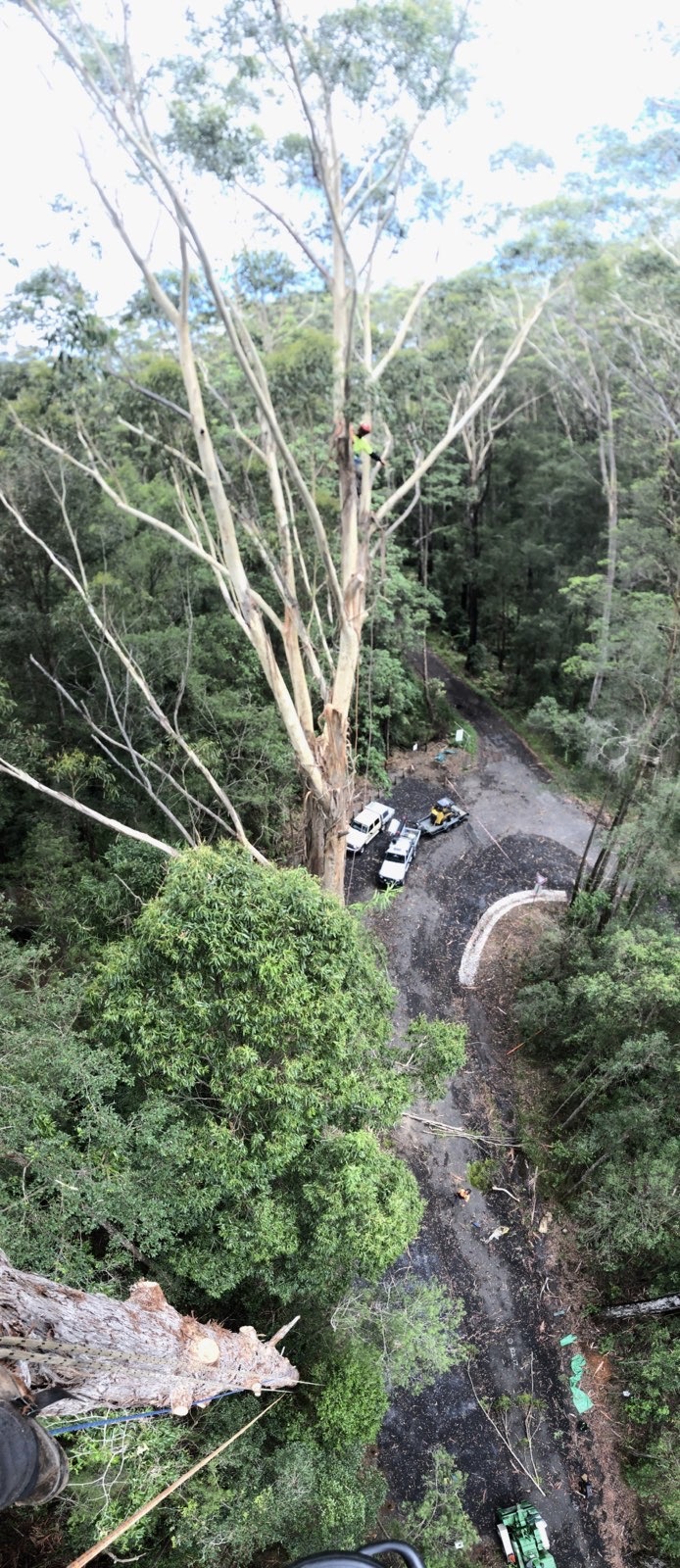 James Godfrey Arborist Far South Coast | 65 Jellat Way, Kalaru NSW 2550, Australia | Phone: 0490 874 272